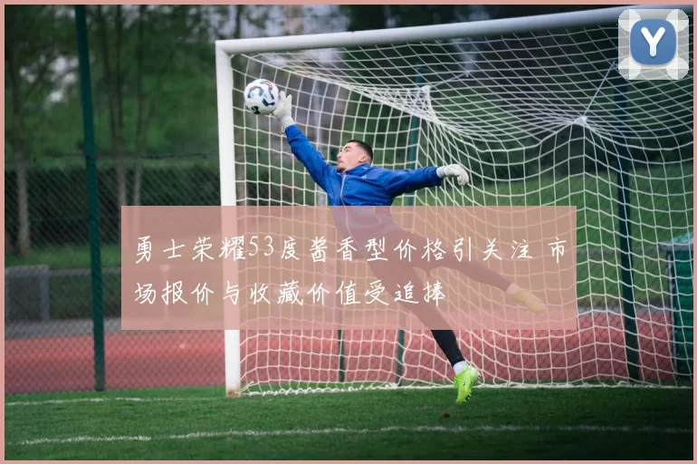 勇士荣耀53度酱香型价格引关注 市场报价与收藏价值受追捧