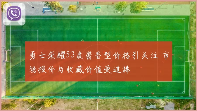 勇士荣耀53度酱香型价格引关注 市场报价与收藏价值受追捧