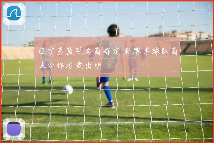 辽宁男篮冠名商确定 新赛季球队商业合作方案出炉