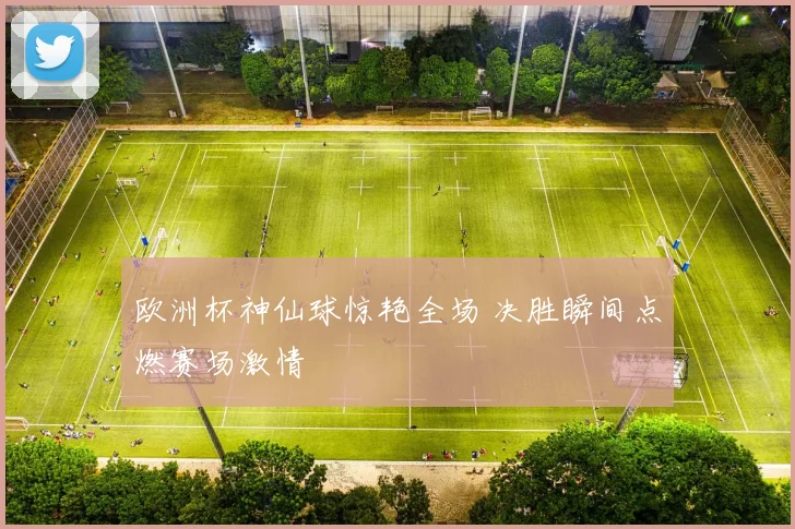 欧洲杯神仙球惊艳全场 决胜瞬间点燃赛场激情