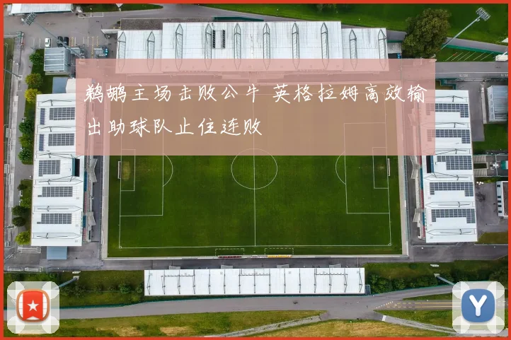 鹈鹕主场击败公牛 英格拉姆高效输出助球队止住连败