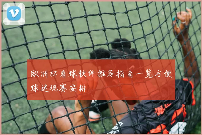 欧洲杯看球软件推荐指南一览方便球迷观赛安排